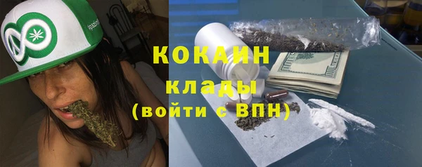 сатива Балахна
