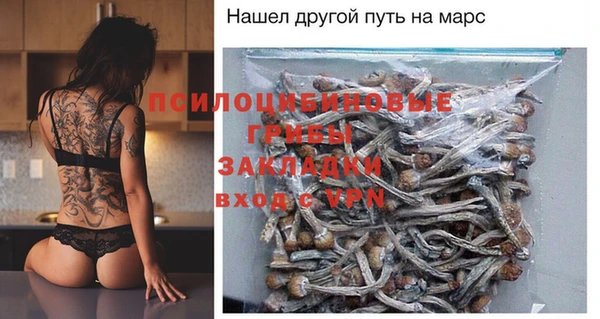 сатива Балахна