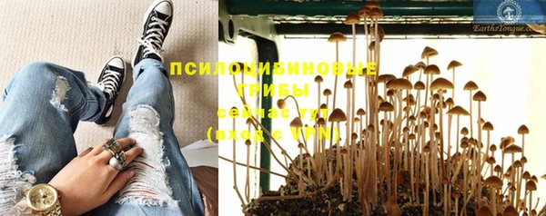 молекула духа Медвежьегорск