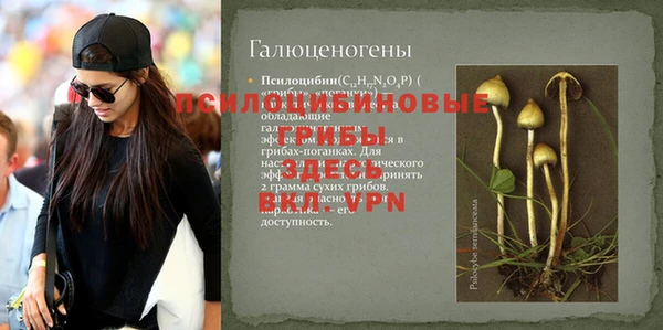 сатива Балахна