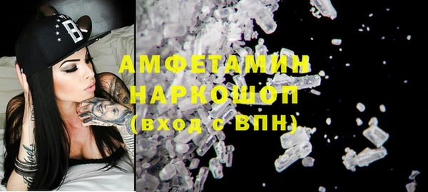 сатива Балахна