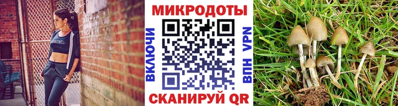 Галлюциногенные грибы GOLDEN TEACHER  Обоянь 